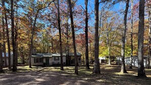 Un chalet rustique, entouré de grands arbres aux feuilles d’automne, niché dans une zone boisée.