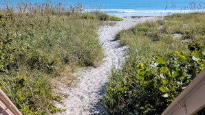 Ein sandiger Pfad führt zum Strand, umgeben von Gras und Pflanzen.
