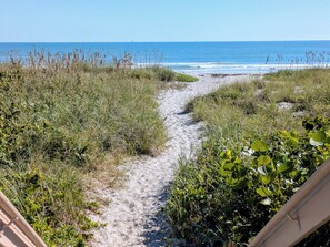 På stranden, liggestole, badehåndklæder