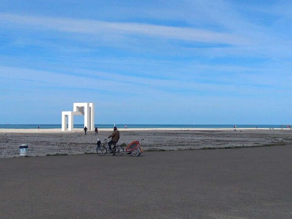 Ride along the beach on a bike, with the ocean stretching out in the distance.