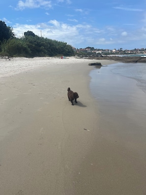 Sillas reclinables de playa