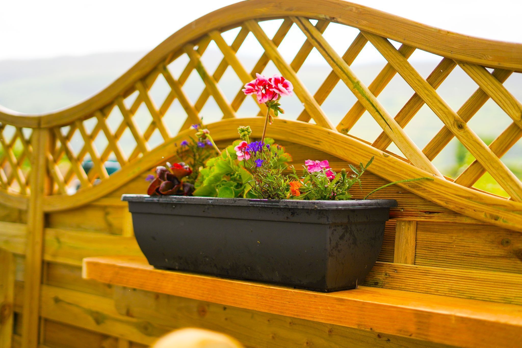 A black rectangular planter with a variety of flowers on a wooden bench.