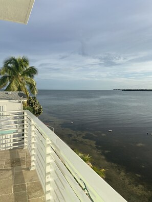 Property grounds - Florida Keys Paradise (Marathon)