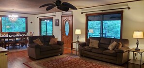 Smart TV, fireplace, DVD player, video library