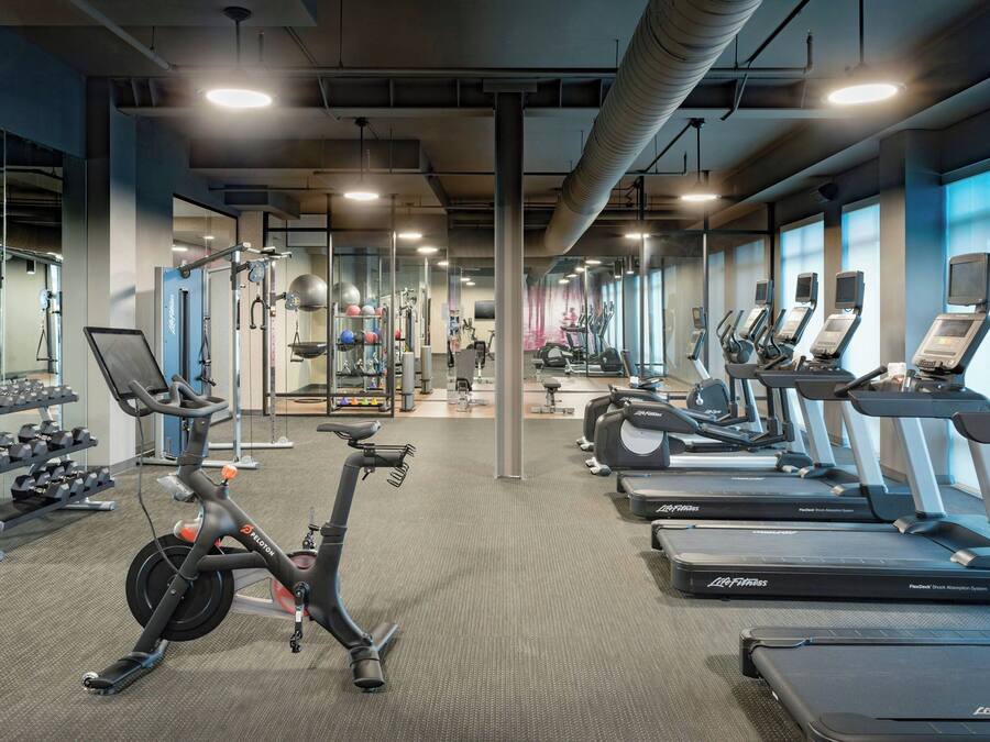 A gym with cardio equipment, weight machines, and dumbbells.