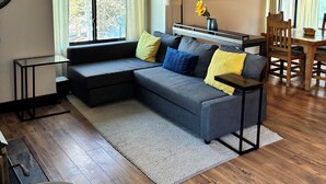 Smart-TV, Kamin