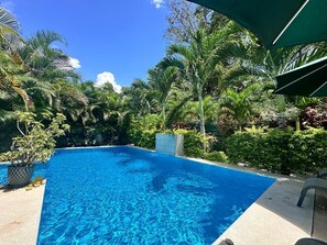 Pool - Casamindano/apt LUZON (Puerto Viejo de Talamanca)