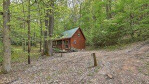 A rustic cabin with a sloped roof, surrounded by dense forest. - Cross Creek Ranch located near Lake Watauga and Mountain City (Mountain City)
