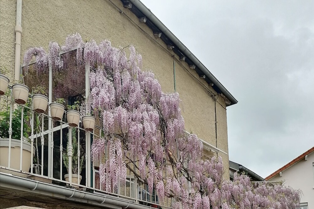 Bel Appartement Dans Petite Copropriété