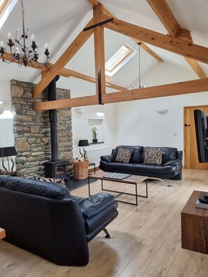 Smart TV, fireplace, video games, DVD player