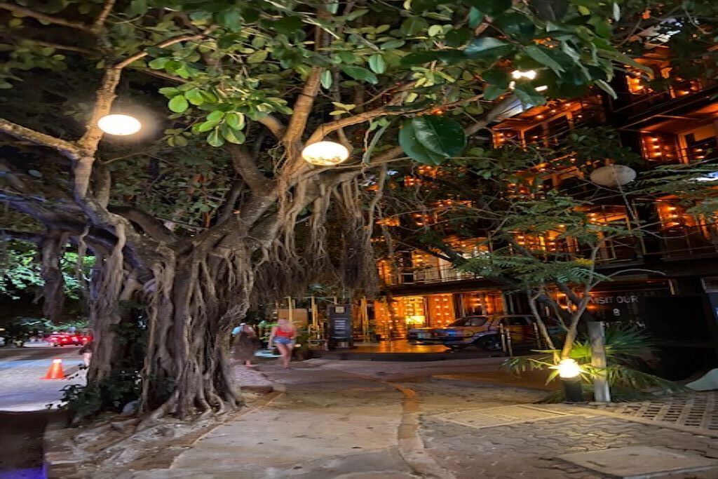 Enceinte de l’hébergement