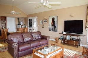 Smart TV, lareira, DVD player, livros