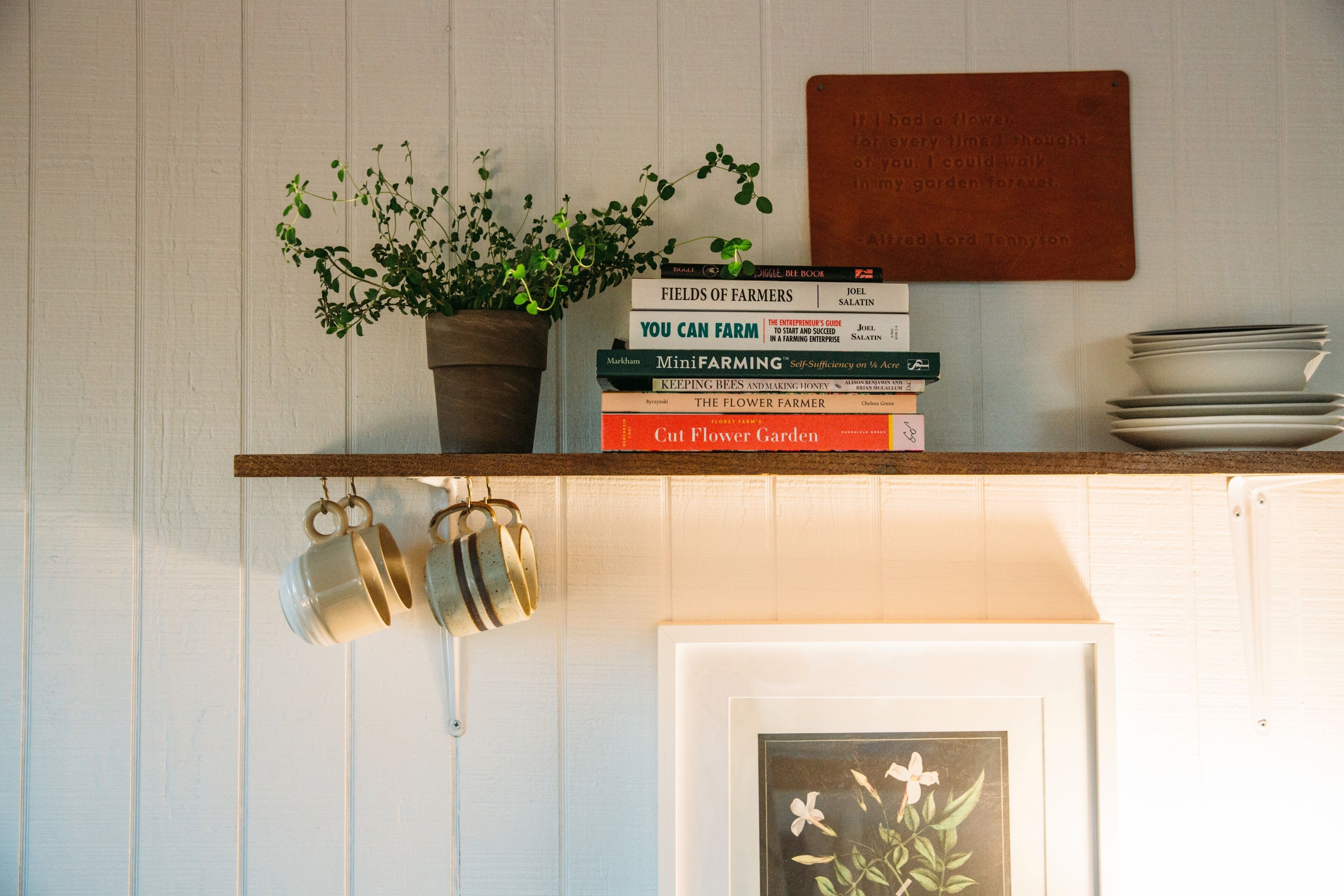 Tiny House Cottage at Mars Hill Farm