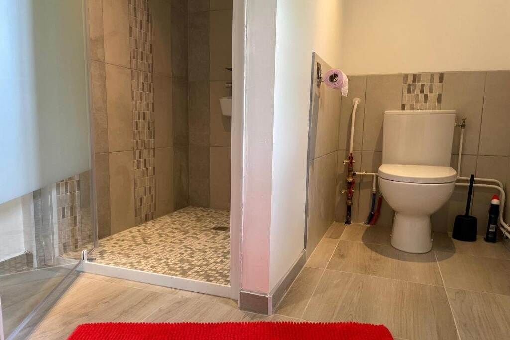 Une salle de bain moderne avec une douche, des toilettes et un tapis rouge.