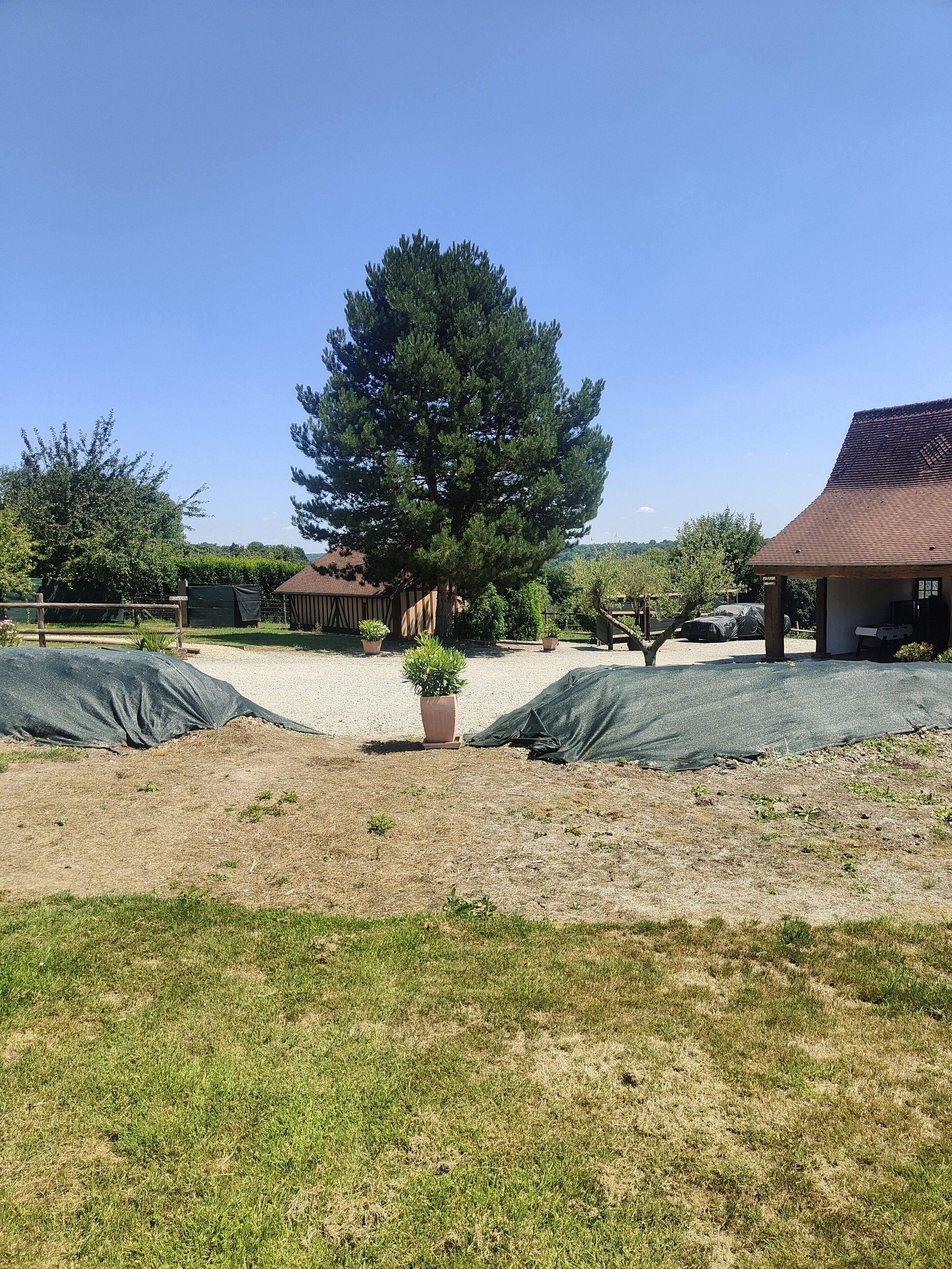 A stable with a large tree in the center, surrounded by covered areas and a fenced pasture.
