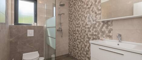 A modern bathroom with a glass shower enclosure, a toilet, and a vanity with a mirror.