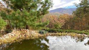 Un étang entouré d’arbres et bordé d’un mur de pierres.