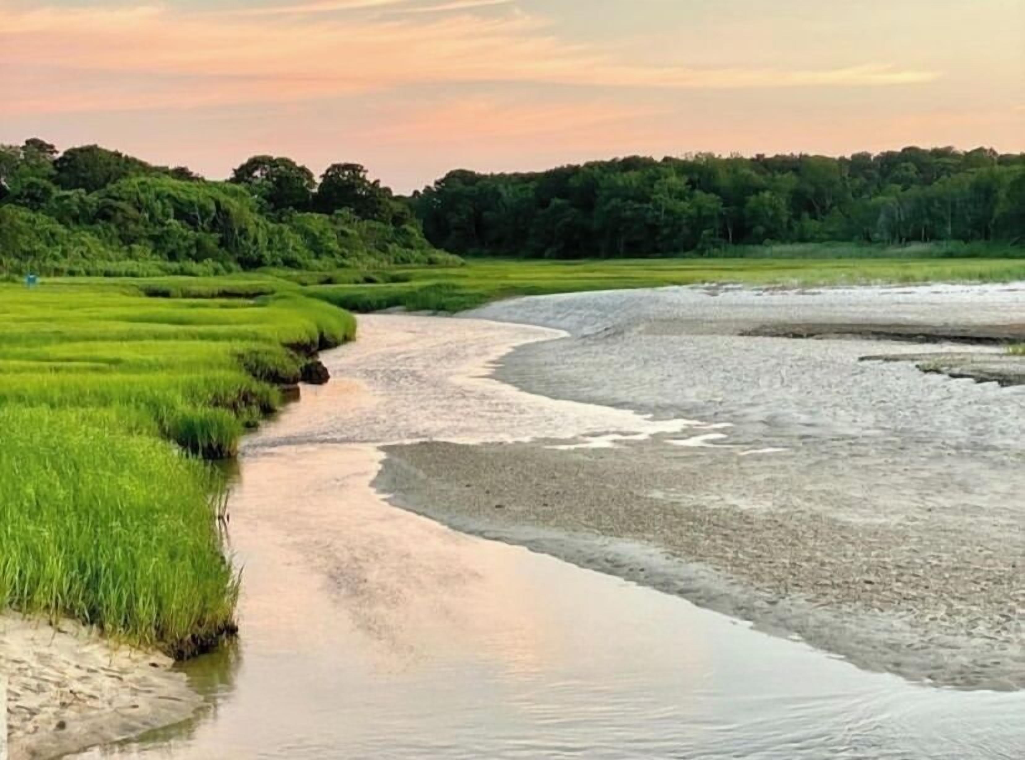 Playa en los alrededores y camastros 