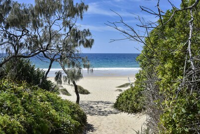Absolute beachfront- Bush, Beach, Dogs, Relax!