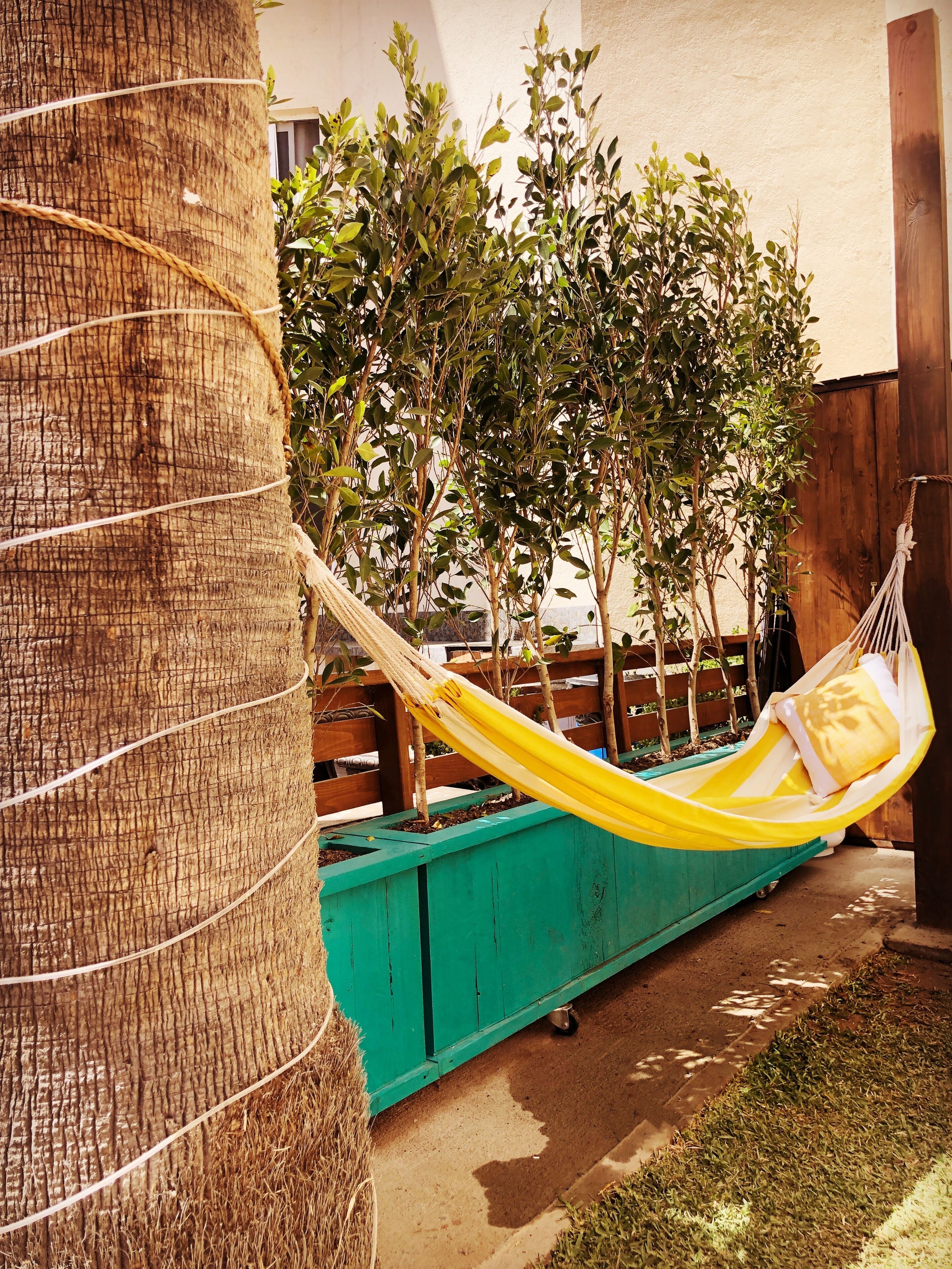 You found what you’re looking for!!!