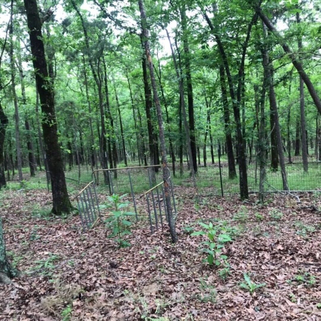 Off grid big foot base camp