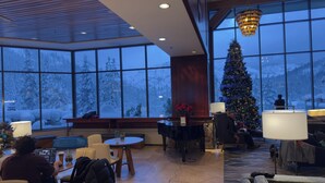 A spacious lobby with large windows, a piano, and a Christmas tree.