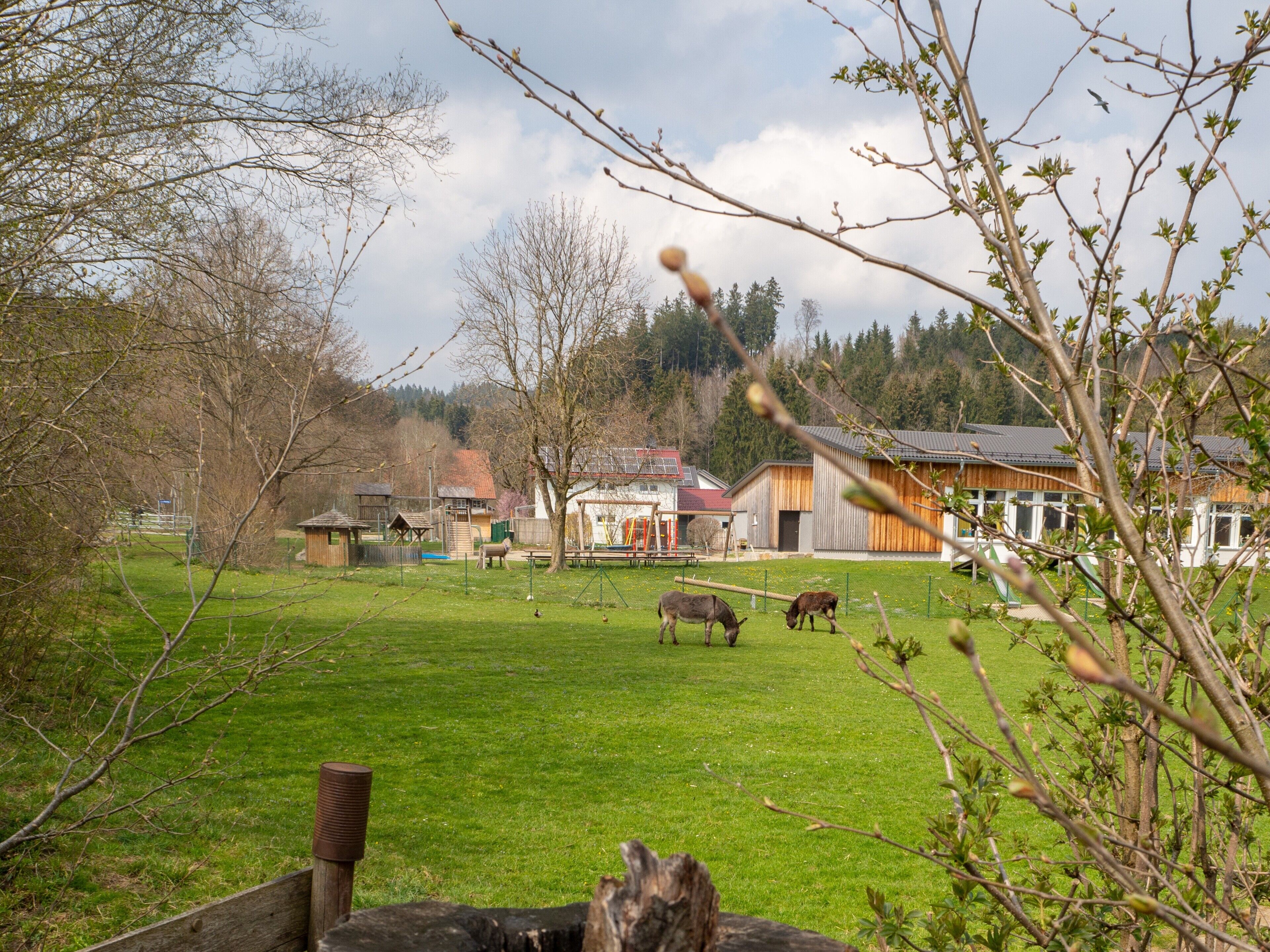 Paisaje rural con un campo cubierto de hierba, una valla de madera y algunos edificios al fondo.