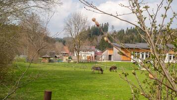 Paisaje rural con un campo cubierto de hierba, una valla de madera y algunos edificios al fondo.