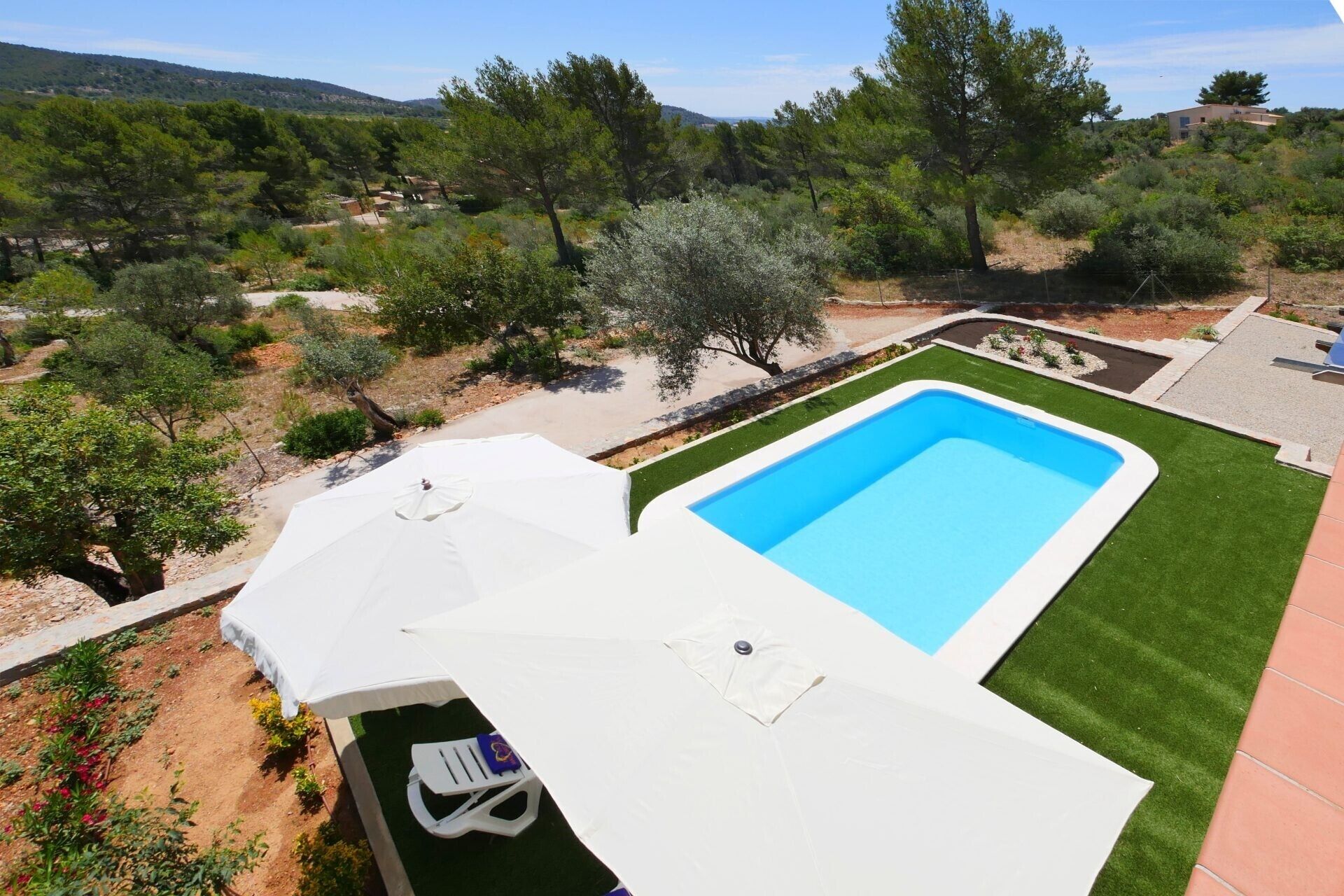 Une piscine dotée d’une terrasse blanche, entourée d’une pelouse bien entretenue et de différents types d’arbres.
