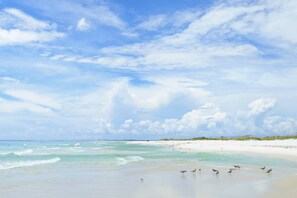 Playa