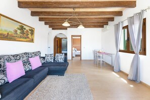 电视、壁炉、DVD 播放器、乒乓球