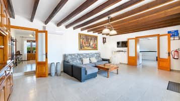 Télévision, cheminée, lecteur de DVD, table de tennis de table