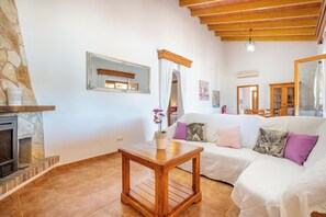 Télévision, cheminée, lecteur de DVD, chaîne hi-fi