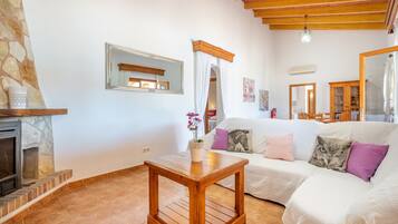 Télévision, cheminée, lecteur de DVD, chaßne hi-fi