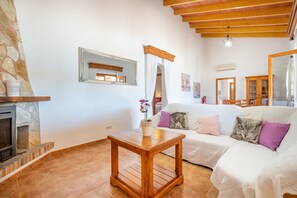 Una televisión, una chimenea, un reproductor de DVD