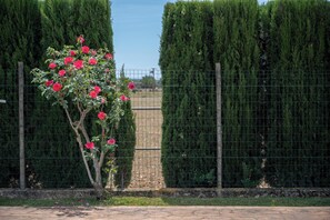 Jardines del alojamiento