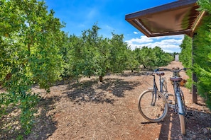 Property grounds - Vacation Home "Biniaco" with Private Pool, 2 Private Terraces & Wi-Fi (Muro)