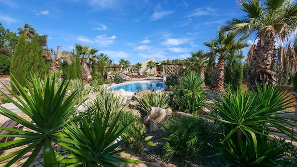 A pool surrounded by tropical plants and a stone structure.