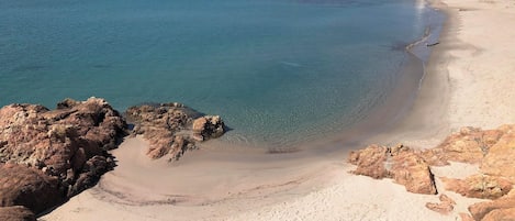بالقرب من الشاطئ