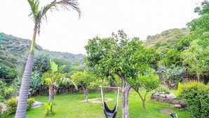 Un'amaca in un giardino rigoglioso, con una palma e diversi arbusti.