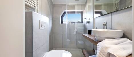 A modern bathroom with a glass-enclosed shower, a white toilet, a large sink, and a mirror.