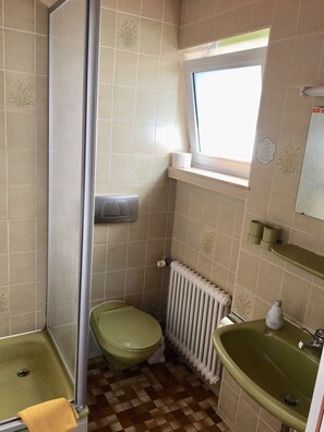 Regadera, toallas, jabón, papel de baño 