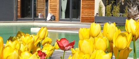 Detalle del exterior