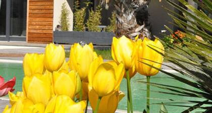 Suite Okavango 2adults+2children-Villa-Carroubier: Standing for a tropical change of scene