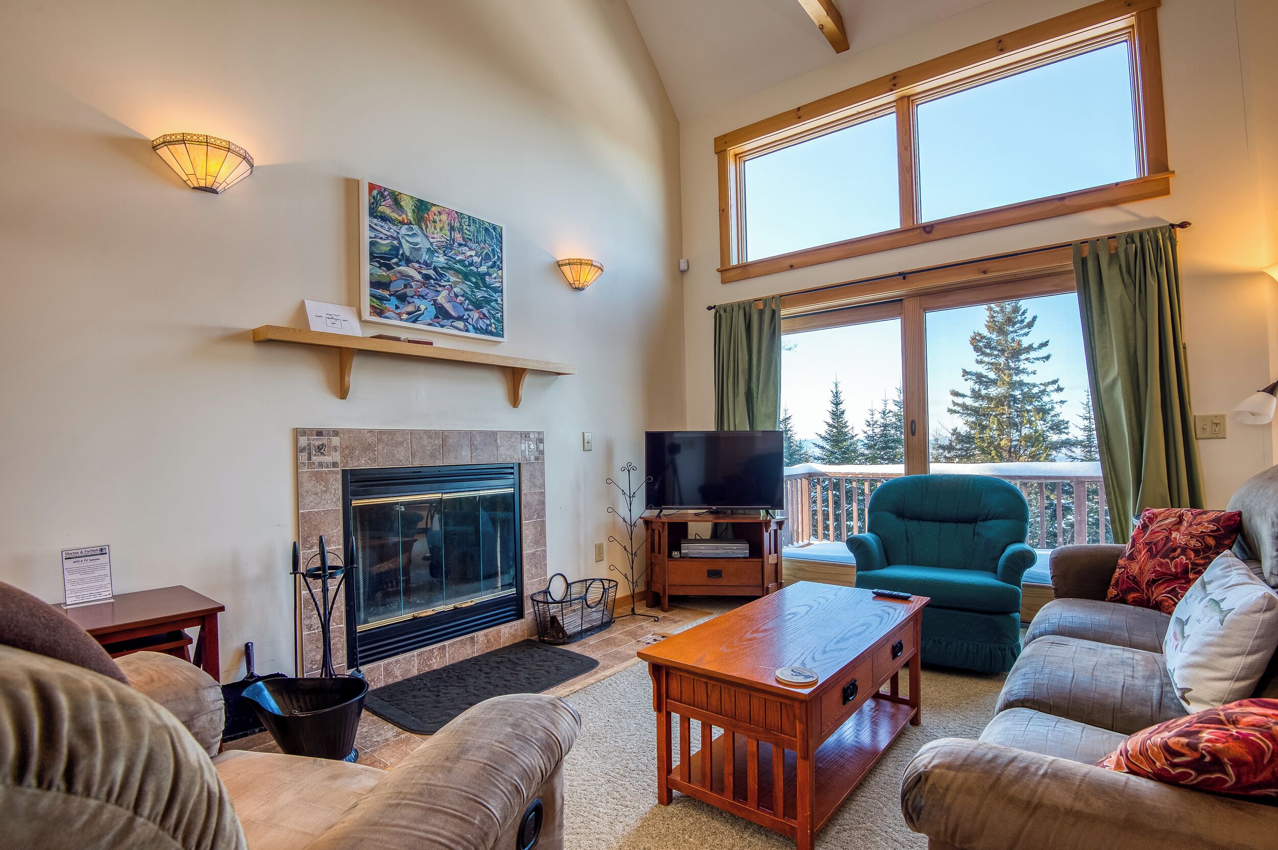 TV, fireplace, DVD player, books