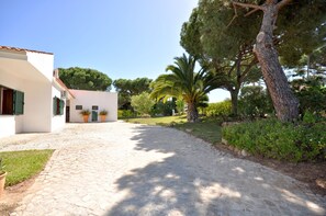 A cobblestone driveway leading to a white building with green shutters, surrounded by lush greenery and trees.