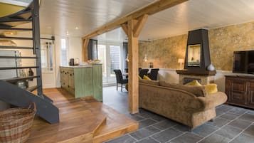 TV connectée, cheminée, livres, vidéothÚque