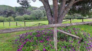 Parco della struttura