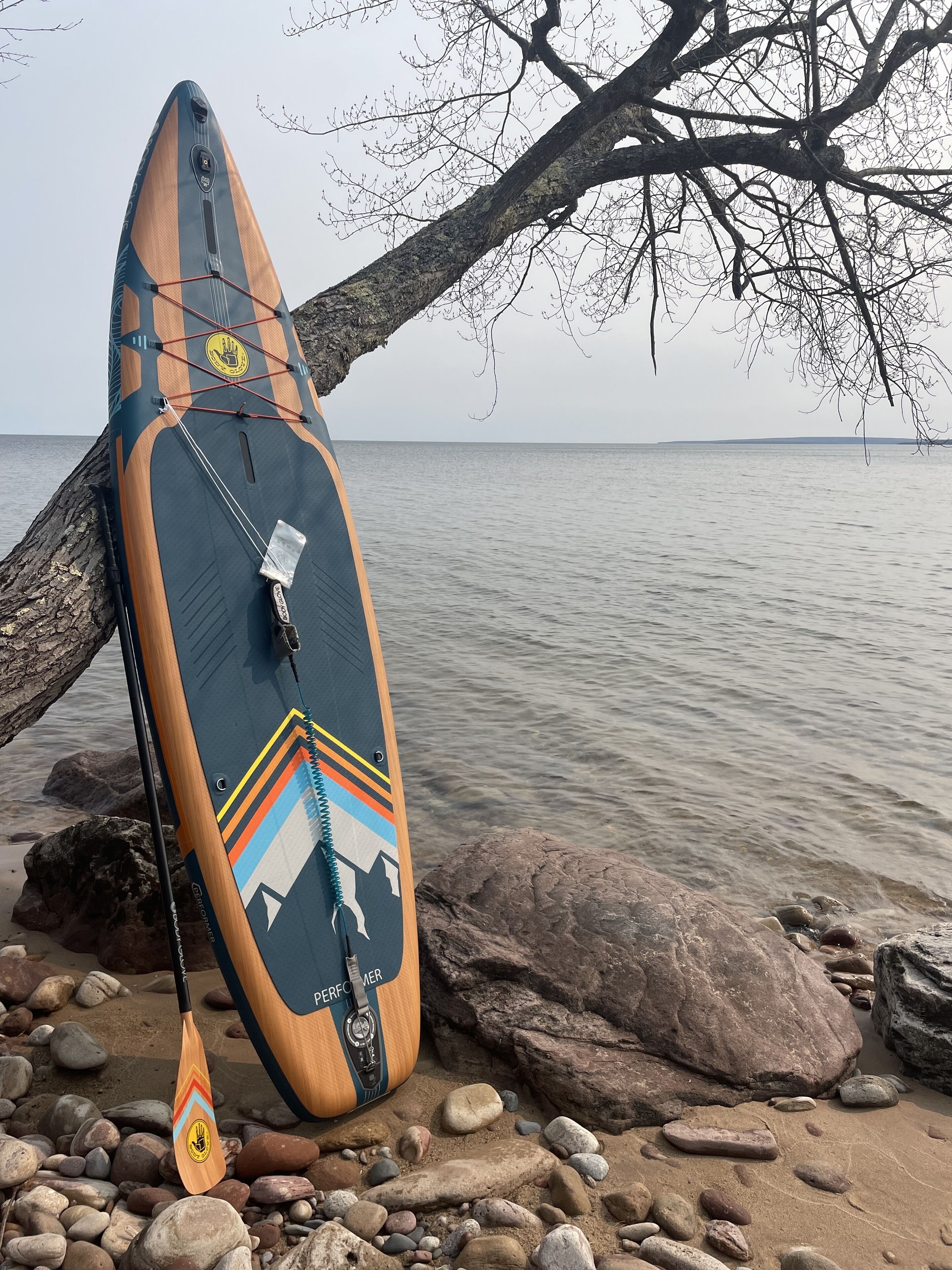 A paddleboard leaning against a tree on a rocky shore.