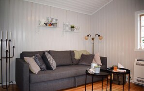 Televisión y chimenea 